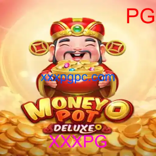 MoneyPotDELUXE